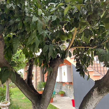 Un Sogno Nel Verde Acilia Exterior photo