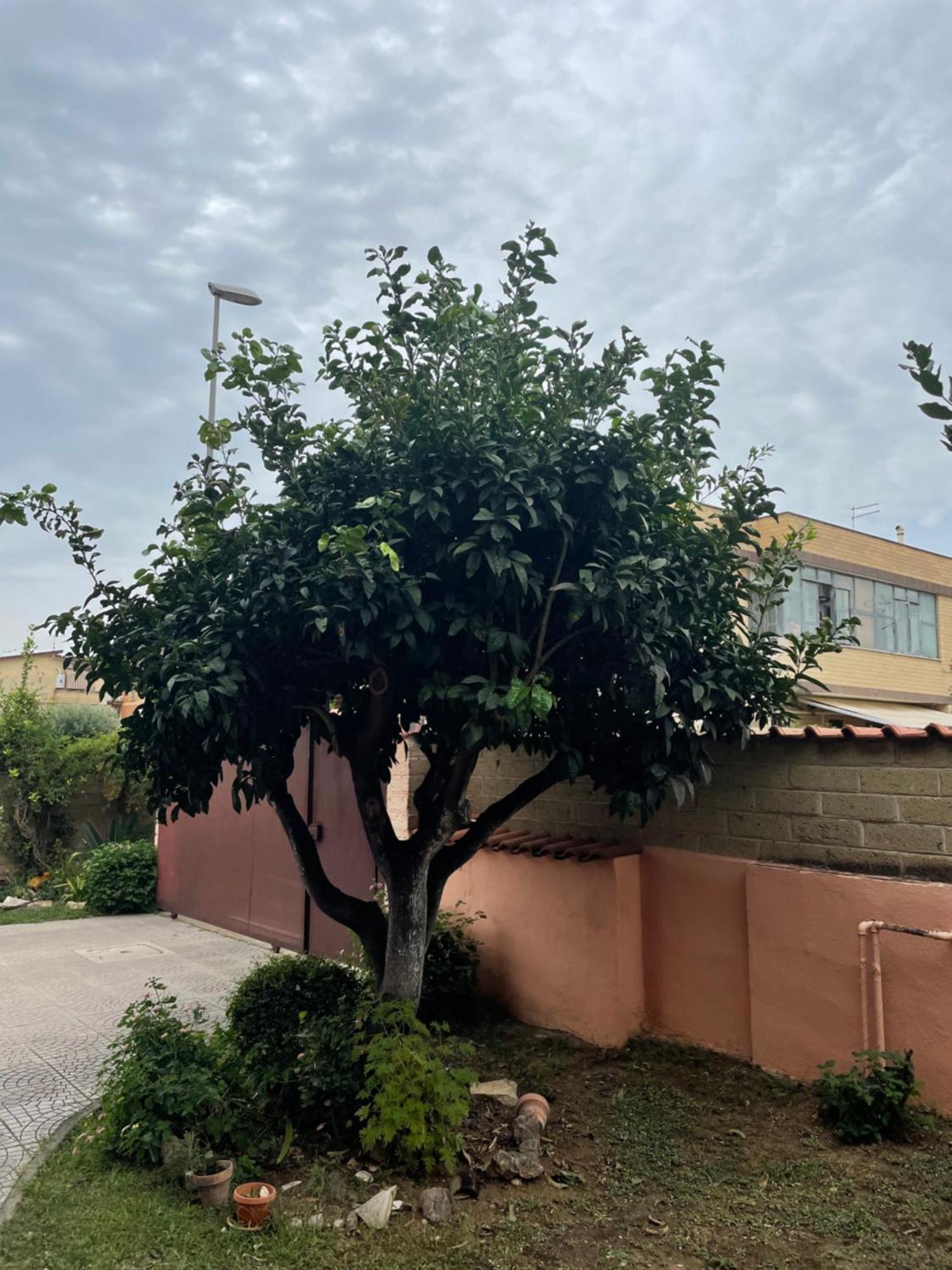 Un Sogno Nel Verde Acilia Exterior photo